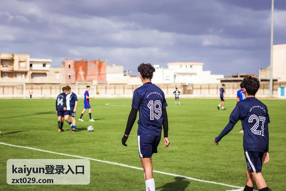 kaiyun登录入口客户端下载与界面导览示例